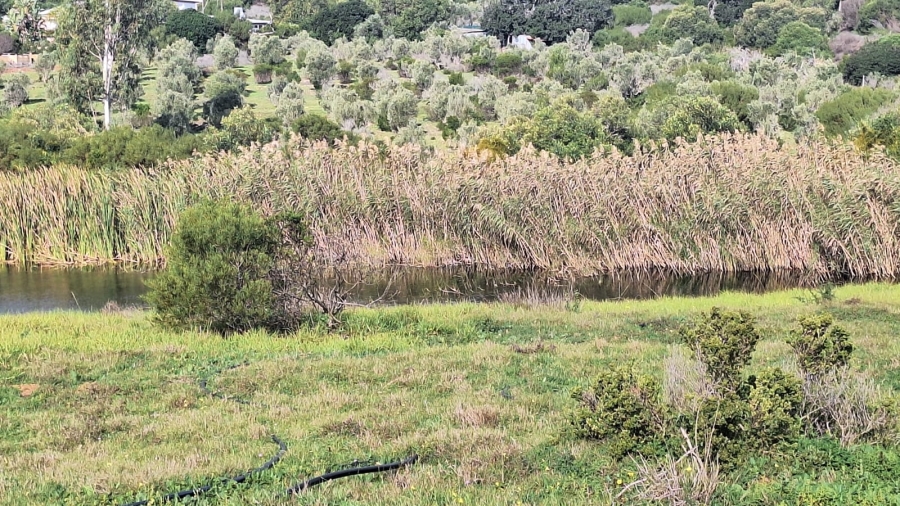 0 Bedroom Property for Sale in Stilbaai Oos Western Cape